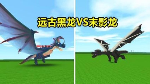 迷你世界黑龙给什么用[图2]