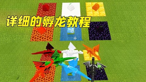 我的世界怎么孵化龙[图1]