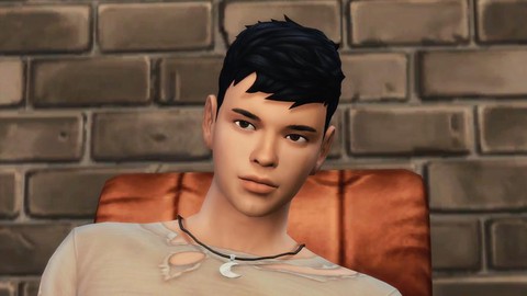 模拟人生4肌肉怎么