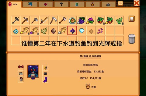 星露谷物语铱环怎么戴[图1]