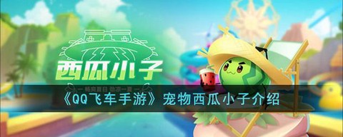 qq飞车买什么给西瓜[图1]