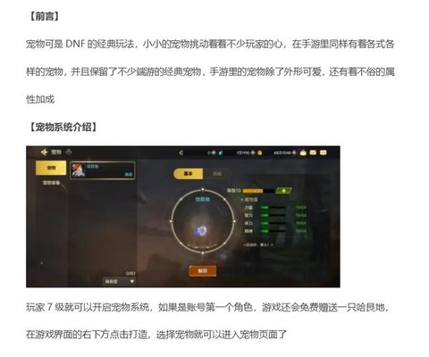 dnf宠物怎么升级[图2]