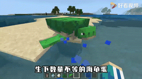 我的世界海龟怎么驯服[图2]